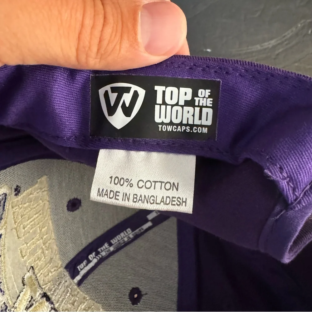 Washington Huskies Purple And Black‎ Strapback Hat Y2K Top Of The World